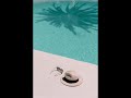 Babytx-carribean(p.josh) 