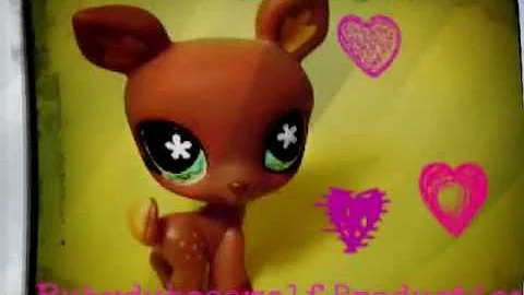 Ruby Wolf TV opening