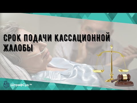 Срок подачи кассационной жалобы