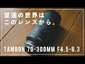 【望遠入門】Tamron 70-300mm レビュー。望遠の世界についハマってしまうレンズ。