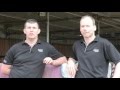 14 The complete Bounce Back Horse Fence Installation 14 The complete Bounce Back Horse Fence Installation
