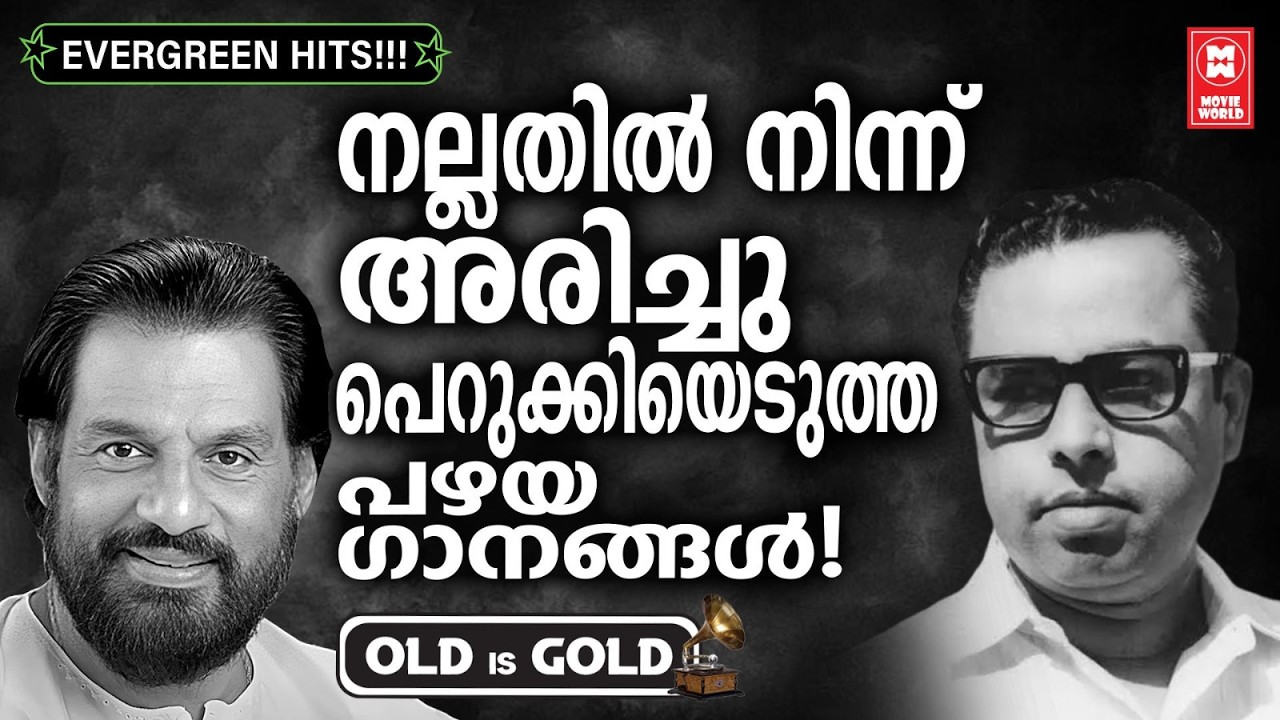 മികച്ചതിൽ നിന്നും തിരഞ്ഞെടുത്ത എക്കാലത്തെയും മികച്ച പഴയ ഗാനങ്ങൾ ✨ | OLD IS GOLD