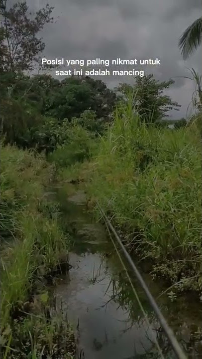 Story' mancing