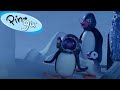 Pingu&#39;s Imagination 🐧 | Pingu - Official Channel | Cartoons For Kids