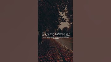 اكتب شئ تؤجر عليه 😴♥️ #لايك  القارئ ⁦⁦: اسلام صبحي #اكسبلور #راحة_نفسية