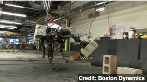 Robotic Dog Can Throw Cinder Blocks Across Room