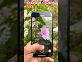 IPHONE 16 CAMERA TEST in 2025 👀🔥 #trending #smartphone #shorts #review #apple #iphone