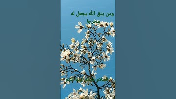 القرآن الكريم/سورة الكهف  القارئ الحاج عامر الكاظمي/اللهم صل وسلم على نبينا محمد