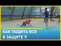 Как тащить ВСЕ в защите ?! Тренировка игры в защите пляжный волейбол Вячеслав Красильников в Песке