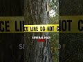 The Suitland Murders: Unsolved Serial Killings That Shook Maryland #truecrimeshorts #crime