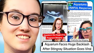 TikTok Aquarium Responds To Huge Backlash