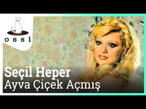 Seçil Heper - Ayva Çiçek Açmış