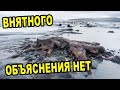 ВНЯТНОГО ОБЪЯСНЕНИЯ НЕТ или ЧТО-ТО УМАЛЧИВАЮТ/ Что за ОБЪЕКТЫ ТАМ ОБНАРУЖЕНЫ под землей