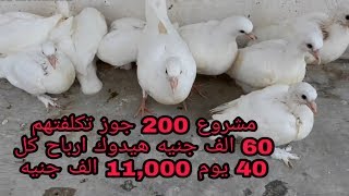 افضل دراسه جدوي لـ 200 جوز حمام لاحم فرنساوي | دكتور حمام