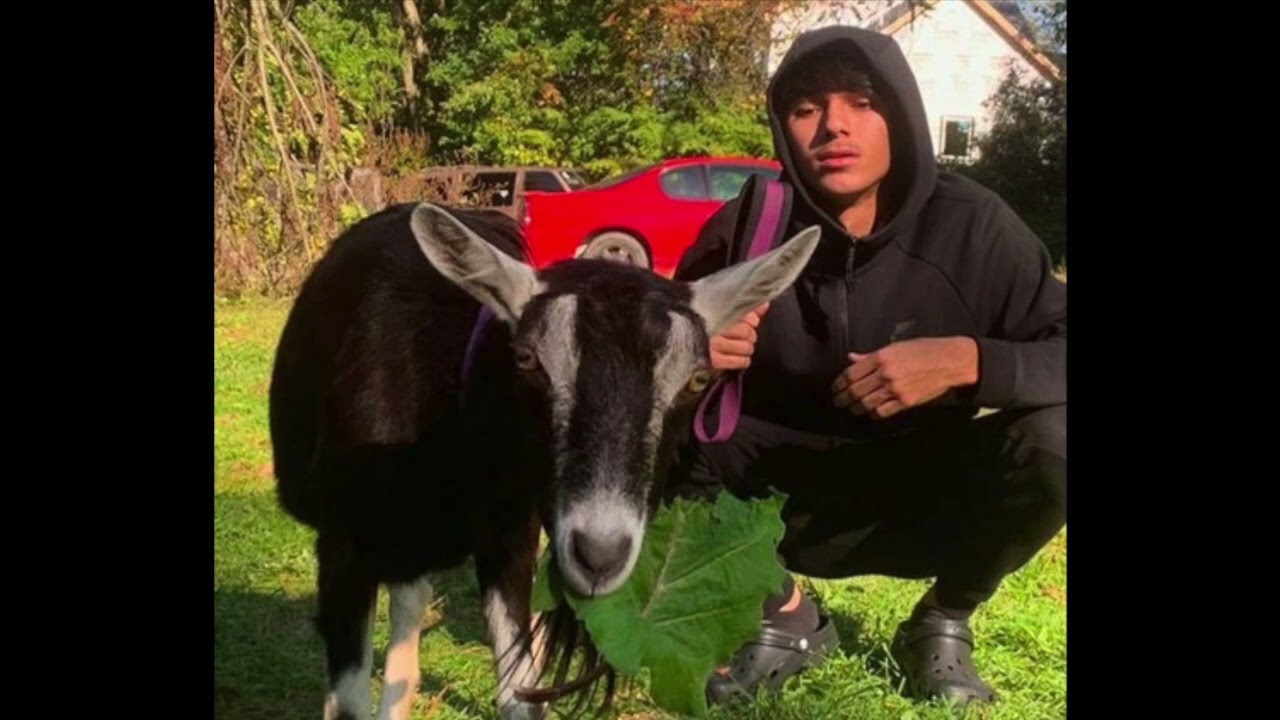 16 minutes of Old BabyTron being GOATED