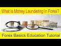 HOW TO MAKE MONEY CONSTANTLY IN FOREX 2020!! - YouTube