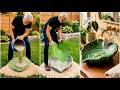 10 + DIY Garden Ideas That Will Completely Transform Your Backyard