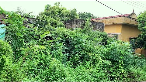 Climbing vegetation covering the roof of an abandoned house has been transformed wonderfully - DayDayNews