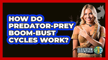 How Do Predator-prey Boom-bust Cycles Work? - Ecosystem Essentials