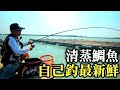 【嘉義布袋】清蒸鯛魚!!試著清蒸自己釣回家的魚，沒想到這麼好吃!! |【C&C】|2020/10/19