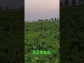 #shortvideo #ddd