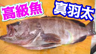 高級魚で作るヒンヤリ料理が美味かった！！