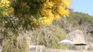 Rent a house hiking Tramuntana
