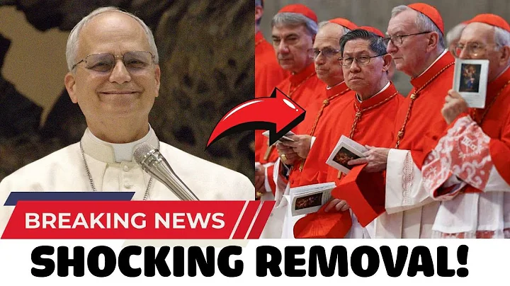Pope Leo XIV Is Cleaning House — These 6 Cardinals Face REMOVAL!