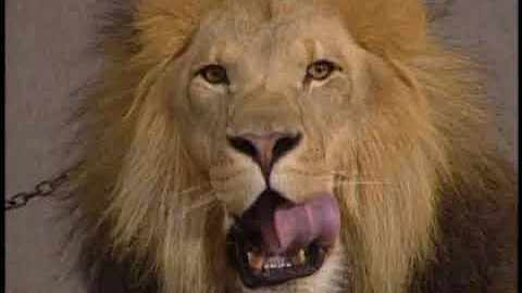 Character Design part 1 - Mufasa