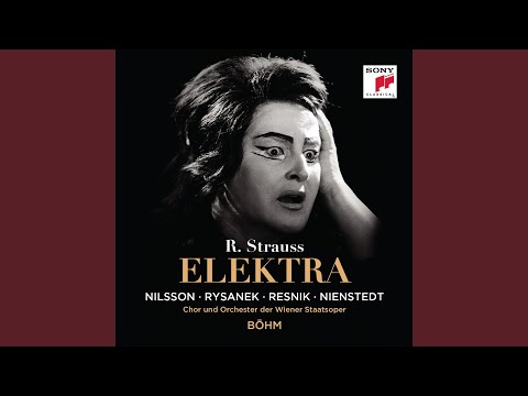 Elektra, Op.58: Ich habe ihm das Beil nicht geben können!