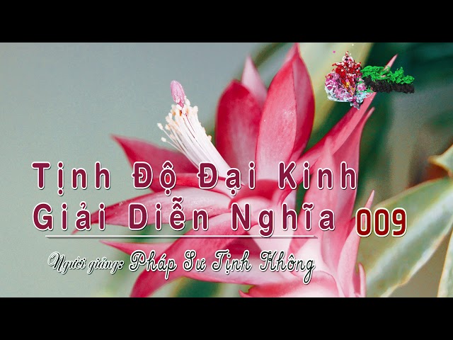 Tịnh Độ Đại Kinh Giải Diễn Nghĩa - 009