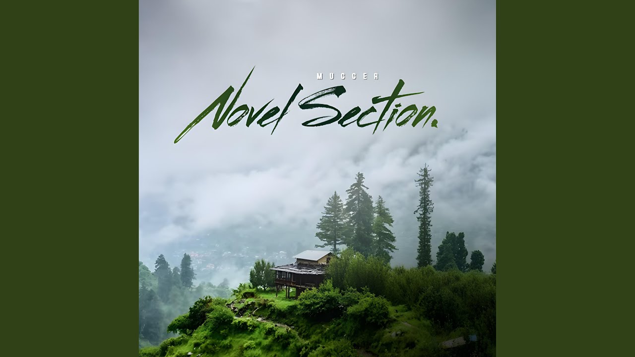 Watch Novel Section on YouTube Watch Novel Section on YouTube