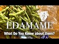 EDAMAME the MOST POPULAR Beer Snack in Japan | Popular Japanese Recipes | Honest Japanese Cooking