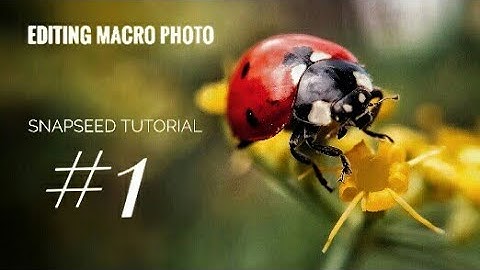 How to professionally edit macro photos in phone using snapseed.. Mobile photography