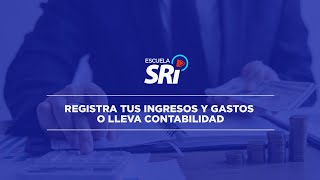 VIDEO 4 - REGISTRA TUS INGRESOS Y GASTOS O LLEVA CONTABILIDAD