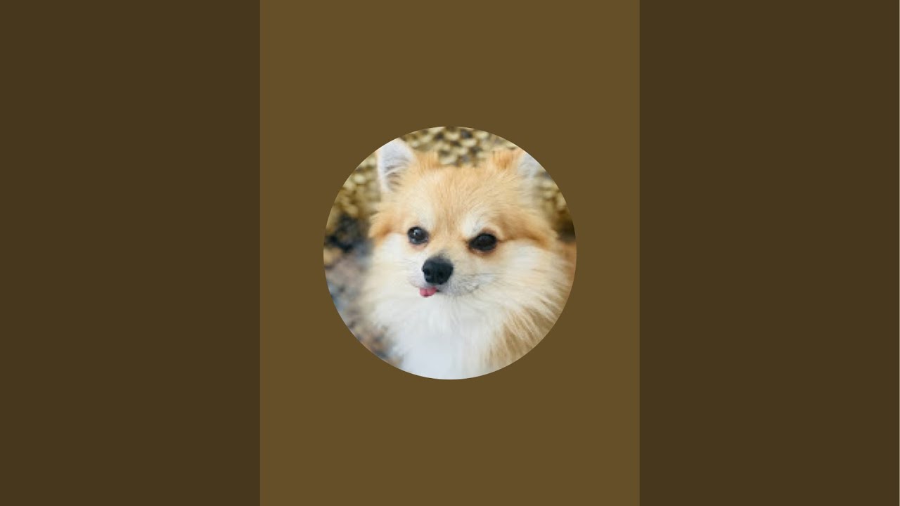 بچه ها من اومدم😍