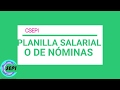 Planilla de sueldos y salarios o planilla de nominas excel