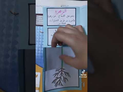 مطويه علوم النبته ابتدائي ثاني ابتدائي ثالث ابتدائي مطويات مطويه  اطفال اكسبلور فولو