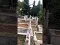 Cellat Mezarlığı-2