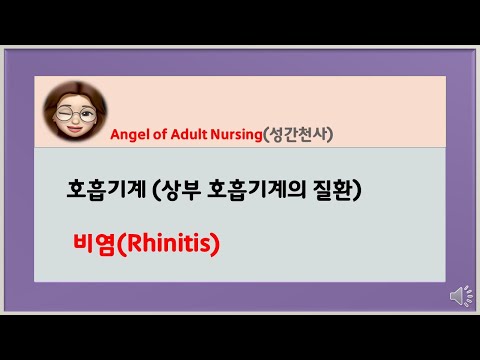 상부호흡기계의 질환 비염Rhinitis