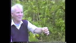 Duncan Williamson Demonstrates How to Make a Slipe for a Basket (1986)