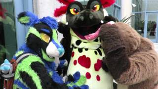 Fc2016 Nibblah Belly Pets