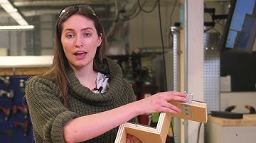 Cat Stairs - Cat Matter Co.