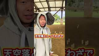 #エンタメ #スポーツ #ゾウ #ゾウさん #ばずれ #バラエティ #ガシャちゃん #モルック #イベント #やってみた #御殿場#静岡#高根#高根ふれあい広場#中郷館#ダッチ