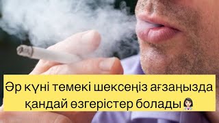 видео: Әр күні темекі шексеңіз ағзаңызда қандай өзгерістер орын алады👩🏻⚕️ Темекінің зияны темекінің пайдас картинка: Әр күні темекі шексеңіз ағзаңызда қандай өзгерістер орын алады👩🏻⚕️ Темекінің зияны темекінің пайдас