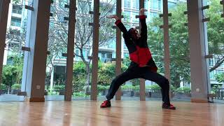 Iphone Xr Pov Lady Gaga - Bad Romance Freestyle Masked Dance Flaming Centurion