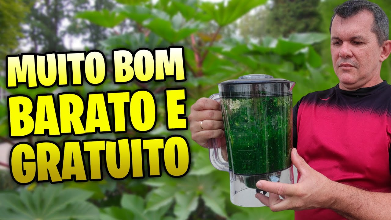 O melhor fertilizante, inseticida, acaricida e fungicida gratuito para ROSA DO DESERTO