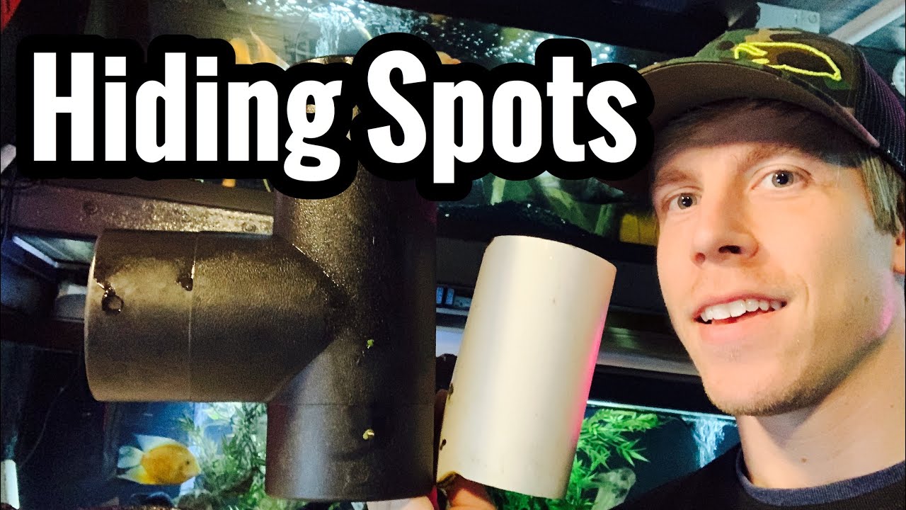 PVC Pipe in Aquariums? Cichlid Cave Stones Cheap? YouTube
