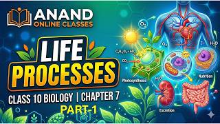 LIFE PROCESSES PART-1 CHAPTER 7 | CLASS 10  | BIOLOGY | NCERT | SCIENCE |  @Anand.eduonline
