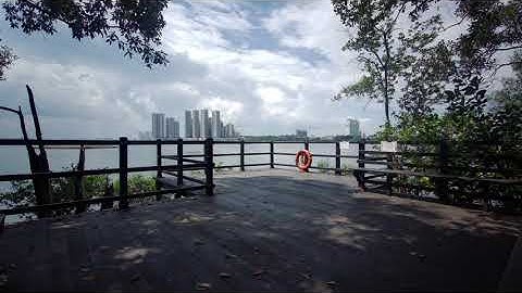 Fimi palm gimbal head dropped error during time lapse